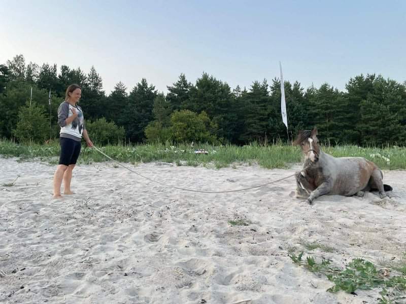 487551730 4037307153172122 5487529141173969890 n